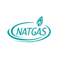logo natgas aux couleurs OMNEGY