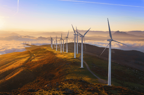 image d'un champ d'éolienne sur une colines pour la page Taxonomie verte : contexte et enjeux d’une réglementation européenne contestée